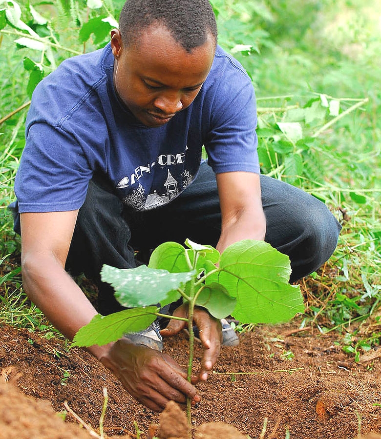 Smallholder tree grower planting seedlings on a woodlot in Tanzania